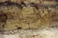 Cronica Cercetărilor Arheologice din România, Campania 2001. Raportul nr. 128
