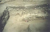 Cronica Cercetărilor Arheologice din România, Campania 2001. Raportul nr. 128