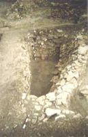Cronica Cercetărilor Arheologice din România, Campania 2001. Raportul nr. 128