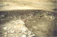 Cronica Cercetărilor Arheologice din România, Campania 2001. Raportul nr. 128