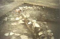 Cronica Cercetărilor Arheologice din România, Campania 2001. Raportul nr. 128
