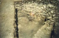 Cronica Cercetărilor Arheologice din România, Campania 2001. Raportul nr. 128
