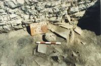 Cronica Cercetărilor Arheologice din România, Campania 2001. Raportul nr. 128