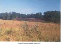 Cronica Cercetărilor Arheologice din România, Campania 2001. Raportul nr. 133