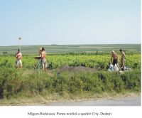 Cronica Cercetărilor Arheologice din România, Campania 2001. Raportul nr. 136