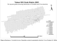 Cronica Cercetărilor Arheologice din România, Campania 2001. Raportul nr. 136