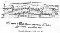 Cronica Cercetărilor Arheologice din România, Campania 2001. Raportul nr. 145