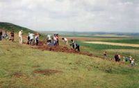 Cronica Cercetărilor Arheologice din România, Campania 2001. Raportul nr. 147