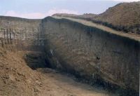Cronica Cercetărilor Arheologice din România, Campania 2001. Raportul nr. 147