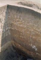 Cronica Cercetărilor Arheologice din România, Campania 2001. Raportul nr. 147