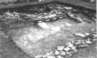 Cronica Cercetărilor Arheologice din România, Campania 2001. Raportul nr. 149