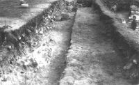 Cronica Cercetărilor Arheologice din România, Campania 2001. Raportul nr. 149