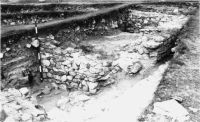Cronica Cercetărilor Arheologice din România, Campania 2001. Raportul nr. 149