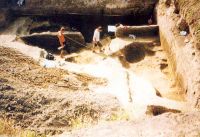 Cronica Cercetărilor Arheologice din România, Campania 2001. Raportul nr. 161