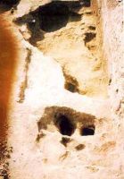 Cronica Cercetărilor Arheologice din România, Campania 2001. Raportul nr. 161