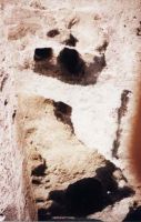 Cronica Cercetărilor Arheologice din România, Campania 2001. Raportul nr. 161