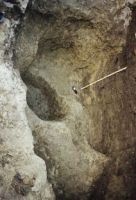 Cronica Cercetărilor Arheologice din România, Campania 2001. Raportul nr. 161