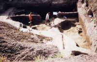 Cronica Cercetărilor Arheologice din România, Campania 2001. Raportul nr. 161