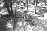 Cronica Cercetărilor Arheologice din România, Campania 2001. Raportul nr. 176