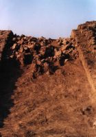 Cronica Cercetărilor Arheologice din România, Campania 2001. Raportul nr. 177