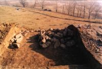 Cronica Cercetărilor Arheologice din România, Campania 2001. Raportul nr. 177