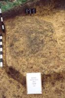 Cronica Cercetărilor Arheologice din România, Campania 2001. Raportul nr. 181.<br /> Sectorul Imagini-detaliu-necropola.