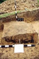 Cronica Cercetărilor Arheologice din România, Campania 2001. Raportul nr. 181.<br /> Sectorul Imagini-detaliu-necropola.