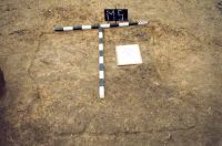 Cronica Cercetărilor Arheologice din România, Campania 2001. Raportul nr. 181.<br /> Sectorul Imagini-detaliu-necropola.