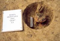 Cronica Cercetărilor Arheologice din România, Campania 2001. Raportul nr. 181.<br /> Sectorul Imagini-detaliu-necropola.