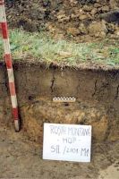 Cronica Cercetărilor Arheologice din România, Campania 2001. Raportul nr. 181.<br /> Sectorul Imagini-detaliu-necropola.