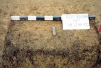 Cronica Cercetărilor Arheologice din România, Campania 2001. Raportul nr. 181.<br /> Sectorul Imagini-detaliu-necropola.