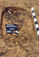 Cronica Cercetărilor Arheologice din România, Campania 2001. Raportul nr. 181.<br /> Sectorul Imagini-detaliu-necropola.