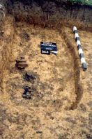 Cronica Cercetărilor Arheologice din România, Campania 2001. Raportul nr. 181.<br /> Sectorul Imagini-detaliu-necropola.