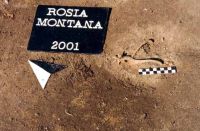 Cronica Cercetărilor Arheologice din România, Campania 2001. Raportul nr. 181.<br /> Sectorul Imagini-detaliu-necropola.