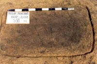 Cronica Cercetărilor Arheologice din România, Campania 2001. Raportul nr. 181.<br /> Sectorul Imagini-detaliu-necropola.
