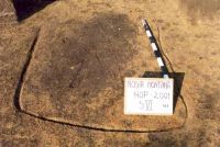 Cronica Cercetărilor Arheologice din România, Campania 2001. Raportul nr. 181.<br /> Sectorul Imagini-detaliu-necropola.