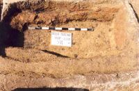 Cronica Cercetărilor Arheologice din România, Campania 2001. Raportul nr. 181.<br /> Sectorul Imagini-detaliu-necropola.