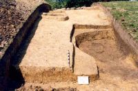 Cronica Cercetărilor Arheologice din România, Campania 2001. Raportul nr. 181.<br /> Sectorul Imagini-detaliu-necropola.