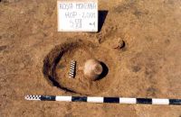 Cronica Cercetărilor Arheologice din România, Campania 2001. Raportul nr. 181.<br /> Sectorul Imagini-detaliu-necropola.