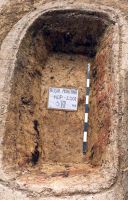 Cronica Cercetărilor Arheologice din România, Campania 2001. Raportul nr. 181.<br /> Sectorul Imagini-detaliu-necropola.