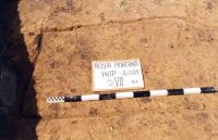 Cronica Cercetărilor Arheologice din România, Campania 2001. Raportul nr. 181.<br /> Sectorul Imagini-detaliu-necropola.