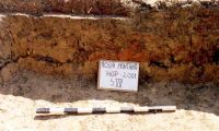 Cronica Cercetărilor Arheologice din România, Campania 2001. Raportul nr. 181.<br /> Sectorul Imagini-detaliu-necropola.