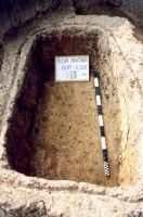 Cronica Cercetărilor Arheologice din România, Campania 2001. Raportul nr. 181.<br /> Sectorul Imagini-detaliu-necropola.
