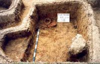 Cronica Cercetărilor Arheologice din România, Campania 2001. Raportul nr. 181.<br /> Sectorul Imagini-detaliu-necropola.