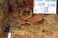 Cronica Cercetărilor Arheologice din România, Campania 2001. Raportul nr. 181.<br /> Sectorul Imagini-detaliu-necropola.