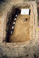 Cronica Cercetărilor Arheologice din România, Campania 2001. Raportul nr. 181.<br /> Sectorul Imagini-detaliu-necropola.