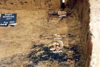 Cronica Cercetărilor Arheologice din România, Campania 2001. Raportul nr. 181.<br /> Sectorul Imagini-detaliu-necropola.