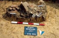 Cronica Cercetărilor Arheologice din România, Campania 2001. Raportul nr. 181.<br /> Sectorul Imagini-detaliu-necropola.