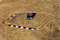 Cronica Cercetărilor Arheologice din România, Campania 2001. Raportul nr. 181.<br /> Sectorul Imagini-detaliu-necropola.
