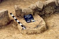 Cronica Cercetărilor Arheologice din România, Campania 2001. Raportul nr. 181.<br /> Sectorul Imagini-detaliu-necropola.
